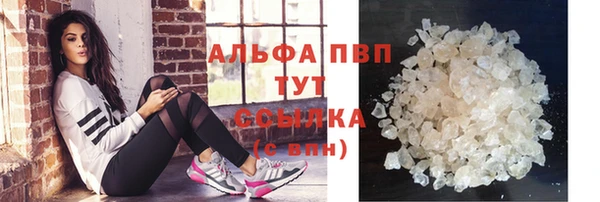 эйфоретик Гусев