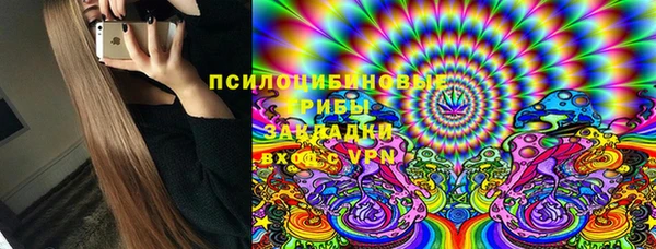 ешки Гусиноозёрск