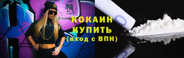 apvp Дмитриев